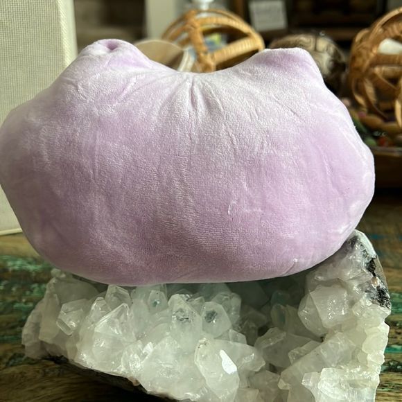 Charmander to Ditto Transforming Plush 10 inch Stuffed Animal - Picture 4 of 5